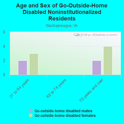 Age and Sex of Go-Outside-Home Disabled Noninstitutionalized Residents