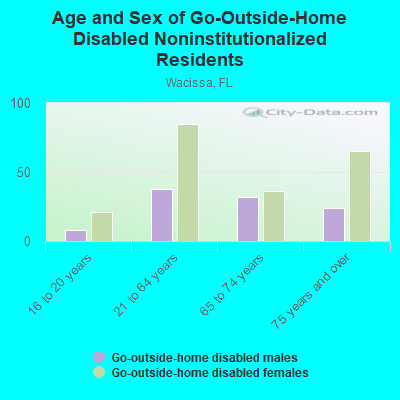 Age and Sex of Go-Outside-Home Disabled Noninstitutionalized Residents