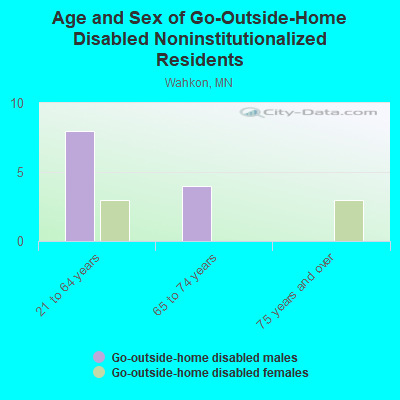 Age and Sex of Go-Outside-Home Disabled Noninstitutionalized Residents