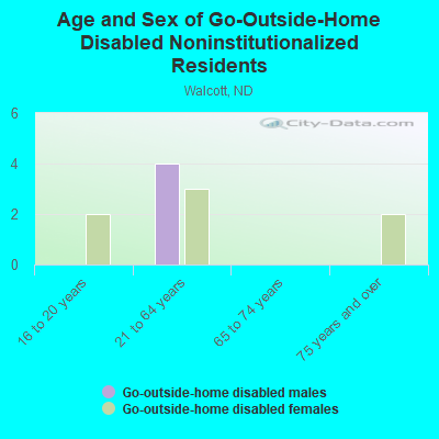 Age and Sex of Go-Outside-Home Disabled Noninstitutionalized Residents