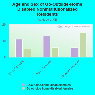 Age and Sex of Go-Outside-Home Disabled Noninstitutionalized Residents