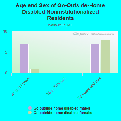 Age and Sex of Go-Outside-Home Disabled Noninstitutionalized Residents