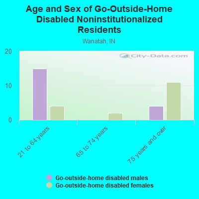 Age and Sex of Go-Outside-Home Disabled Noninstitutionalized Residents