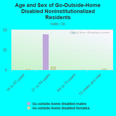 Age and Sex of Go-Outside-Home Disabled Noninstitutionalized Residents