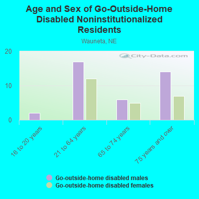 Age and Sex of Go-Outside-Home Disabled Noninstitutionalized Residents