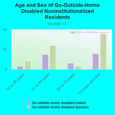 Age and Sex of Go-Outside-Home Disabled Noninstitutionalized Residents