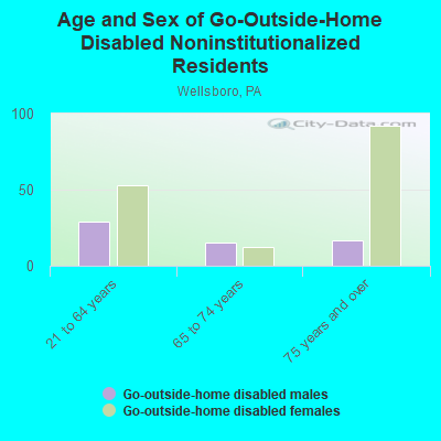 Age and Sex of Go-Outside-Home Disabled Noninstitutionalized Residents