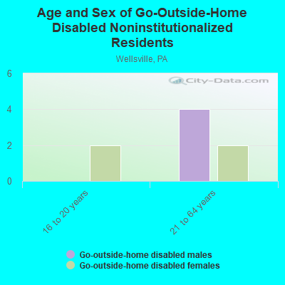 Age and Sex of Go-Outside-Home Disabled Noninstitutionalized Residents