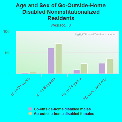 Age and Sex of Go-Outside-Home Disabled Noninstitutionalized Residents