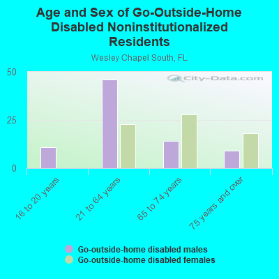 Age and Sex of Go-Outside-Home Disabled Noninstitutionalized Residents