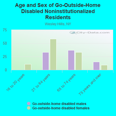 Age and Sex of Go-Outside-Home Disabled Noninstitutionalized Residents