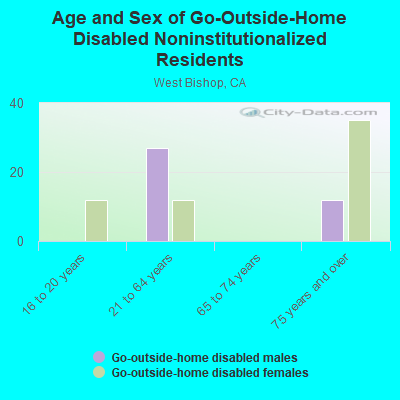 Age and Sex of Go-Outside-Home Disabled Noninstitutionalized Residents