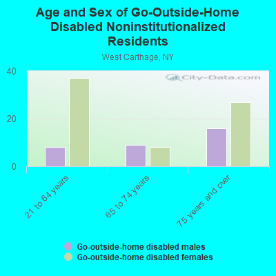 Age and Sex of Go-Outside-Home Disabled Noninstitutionalized Residents