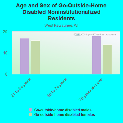 Age and Sex of Go-Outside-Home Disabled Noninstitutionalized Residents