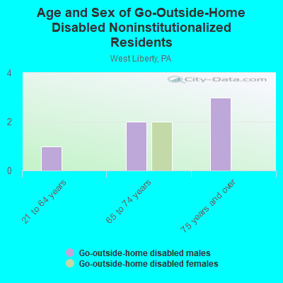 Age and Sex of Go-Outside-Home Disabled Noninstitutionalized Residents