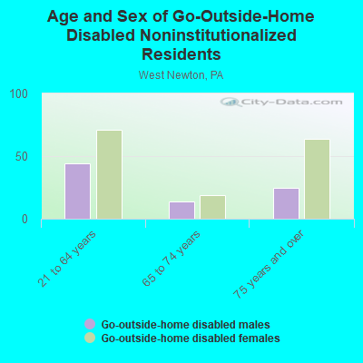 Age and Sex of Go-Outside-Home Disabled Noninstitutionalized Residents