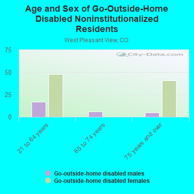 Age and Sex of Go-Outside-Home Disabled Noninstitutionalized Residents