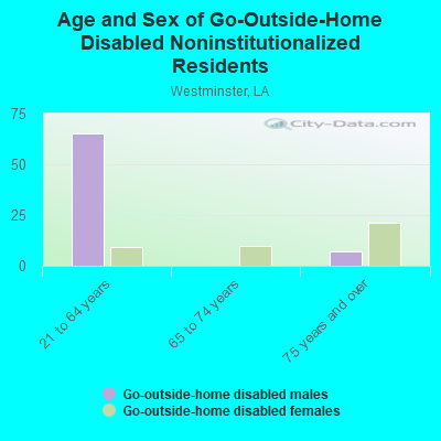 Age and Sex of Go-Outside-Home Disabled Noninstitutionalized Residents