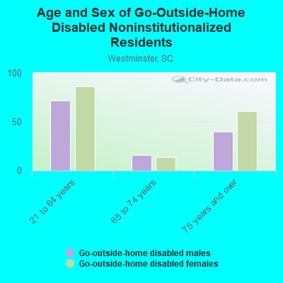 Age and Sex of Go-Outside-Home Disabled Noninstitutionalized Residents