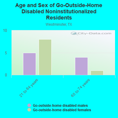 Age and Sex of Go-Outside-Home Disabled Noninstitutionalized Residents