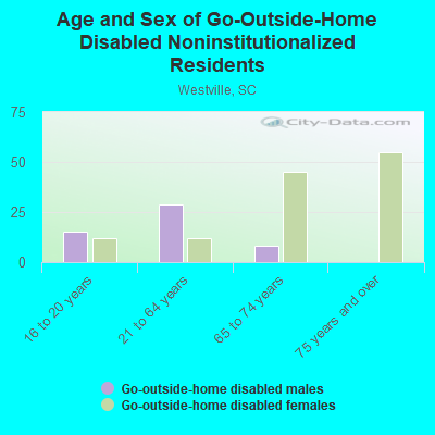 Age and Sex of Go-Outside-Home Disabled Noninstitutionalized Residents