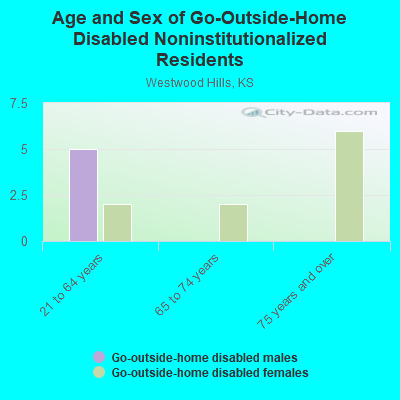 Age and Sex of Go-Outside-Home Disabled Noninstitutionalized Residents