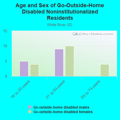 Age and Sex of Go-Outside-Home Disabled Noninstitutionalized Residents