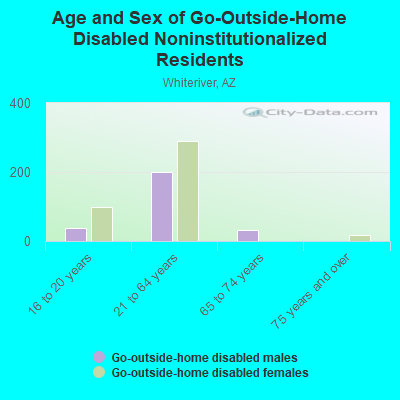 Age and Sex of Go-Outside-Home Disabled Noninstitutionalized Residents