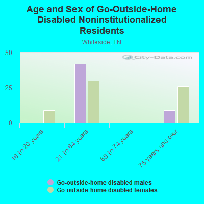 Age and Sex of Go-Outside-Home Disabled Noninstitutionalized Residents