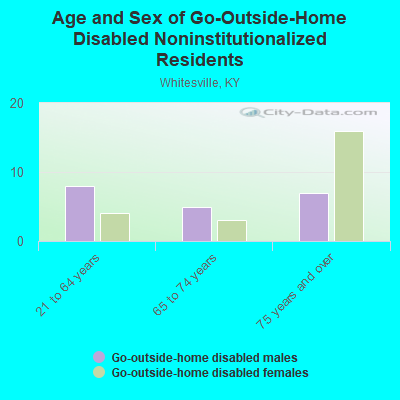 Age and Sex of Go-Outside-Home Disabled Noninstitutionalized Residents