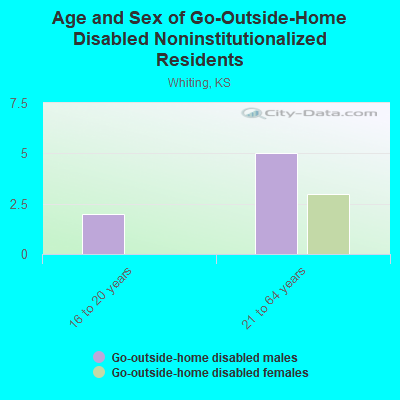 Age and Sex of Go-Outside-Home Disabled Noninstitutionalized Residents