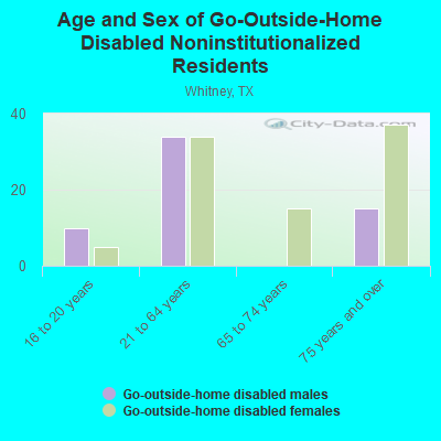 Age and Sex of Go-Outside-Home Disabled Noninstitutionalized Residents