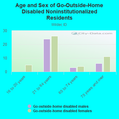 Age and Sex of Go-Outside-Home Disabled Noninstitutionalized Residents