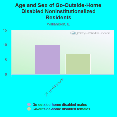 Age and Sex of Go-Outside-Home Disabled Noninstitutionalized Residents