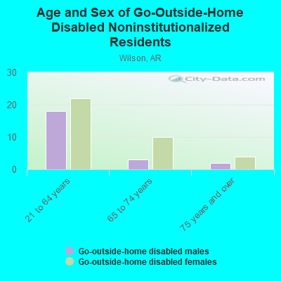 Age and Sex of Go-Outside-Home Disabled Noninstitutionalized Residents