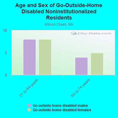 Age and Sex of Go-Outside-Home Disabled Noninstitutionalized Residents