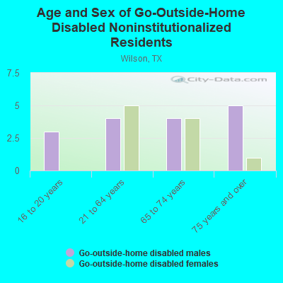 Age and Sex of Go-Outside-Home Disabled Noninstitutionalized Residents