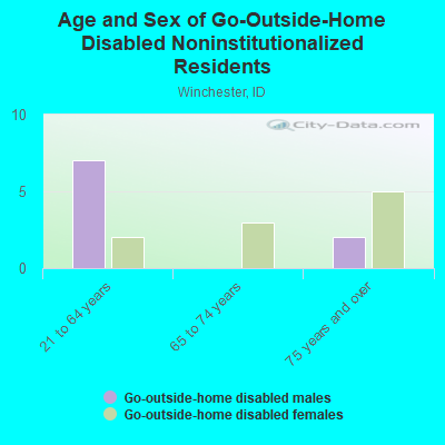 Age and Sex of Go-Outside-Home Disabled Noninstitutionalized Residents