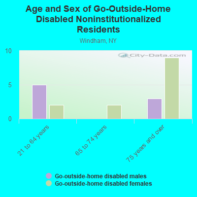 Age and Sex of Go-Outside-Home Disabled Noninstitutionalized Residents