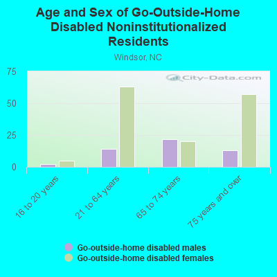 Age and Sex of Go-Outside-Home Disabled Noninstitutionalized Residents