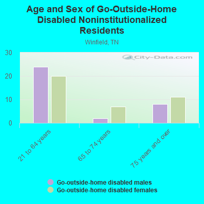 Age and Sex of Go-Outside-Home Disabled Noninstitutionalized Residents