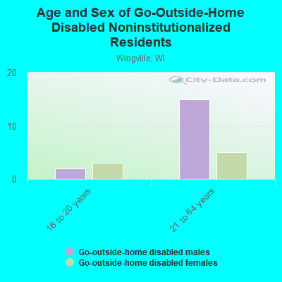 Age and Sex of Go-Outside-Home Disabled Noninstitutionalized Residents