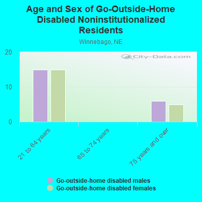 Age and Sex of Go-Outside-Home Disabled Noninstitutionalized Residents