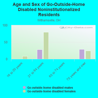 Age and Sex of Go-Outside-Home Disabled Noninstitutionalized Residents