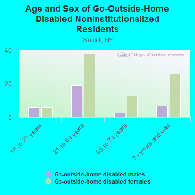 Age and Sex of Go-Outside-Home Disabled Noninstitutionalized Residents