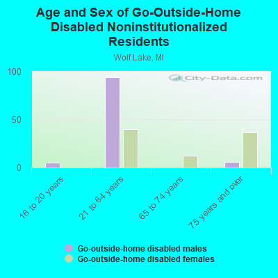 Age and Sex of Go-Outside-Home Disabled Noninstitutionalized Residents