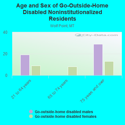 Age and Sex of Go-Outside-Home Disabled Noninstitutionalized Residents