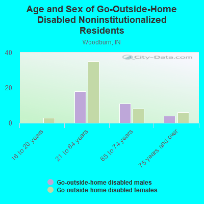 Age and Sex of Go-Outside-Home Disabled Noninstitutionalized Residents