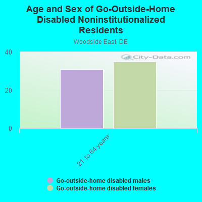 Age and Sex of Go-Outside-Home Disabled Noninstitutionalized Residents