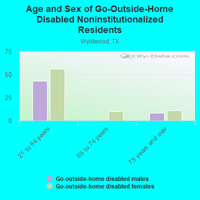 Age and Sex of Go-Outside-Home Disabled Noninstitutionalized Residents